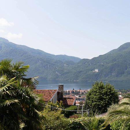 Mamma Ciccia Holiday Home - Mountains & Lake Mandello del Lario Εξωτερικό φωτογραφία