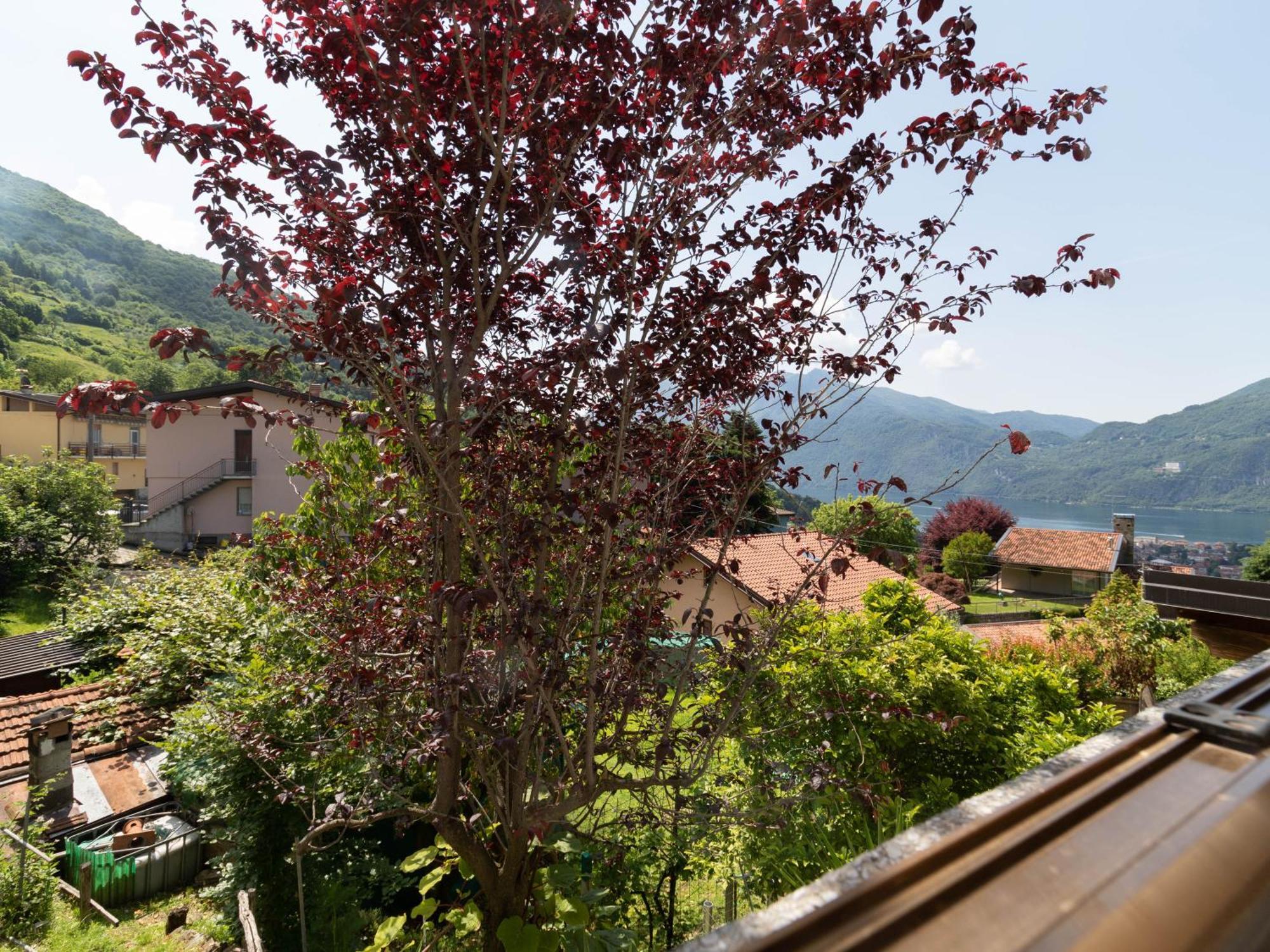 Mamma Ciccia Holiday Home - Mountains & Lake Mandello del Lario Εξωτερικό φωτογραφία